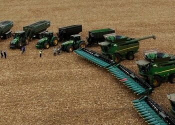 Актив оценивается более чем в $100 млн: «Кернел» покупает агрохолдинг с земельным банком в 41 000 гектаров и элеваторами.