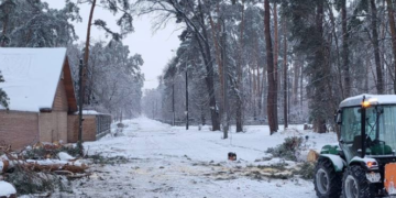 Екологічне лихо на Київщині: негода повалила дерева й пошкодила енергооб’єкти, – ФОТО