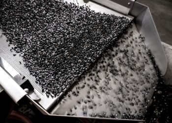 Эксперты прогнозируют снижение производства ключевой масличной культуры.