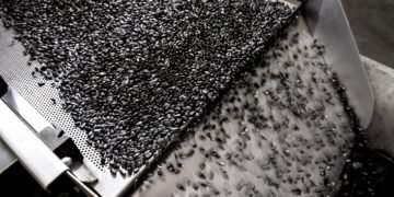 Эксперты прогнозируют снижение производства ключевой масличной культуры.