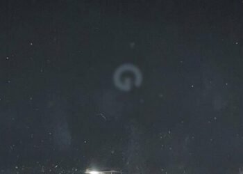 Багатий «татусь» чи серійний хижак: шокуючі деталі затримання в Київі