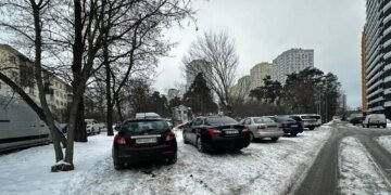 Стоянка замість саду: як у Києві знищують екологічну зону