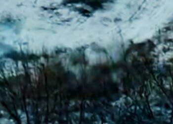 Біля Покровська українські дрони допомогли захисникам уникнути полону: у ДШВ показали відео