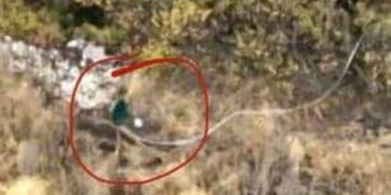 Окупанти терміново постачають на фронт супутниковий Інтернет для заміни Starlink – "Флеш"