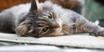 Резкое потепление и дожди: водителей предупредили об опасной погоде