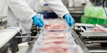 Куда во время войны украинский производитель курятины инвестирует средства кредита на ₴1 млрд?