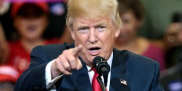 “Должен начать действовать”: Трамп призвал Зеленского поскорее договориться с Россией