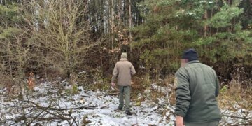 Прокуратура подала иск к лесхозу из-за незаконной вырубки деревьев в Тернопольской области