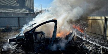 Во Львовской области Tesla сгорела из-за пожара сухой травы