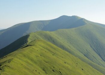 Афера на миллиарды: АРМА отдала рекреационные земли в Карпатах по цене, ниже рыночной