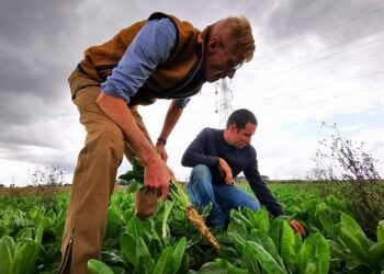 Евросоюз направит €12 млн на реформу украинского агросектора, а Япония через Всемирный банк предоставляет $1,26 млрд на социальные выплаты и восстановление инфраструктуры.