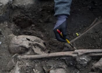 На Ровенщине закончили раскопки: нашли ли жертв Волынской трагедии