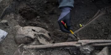 На Ровенщине закончили раскопки: нашли ли жертв Волынской трагедии