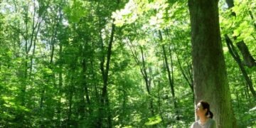 Кліщі у столичних парках: що потрібно знати киянам під час прогулянок