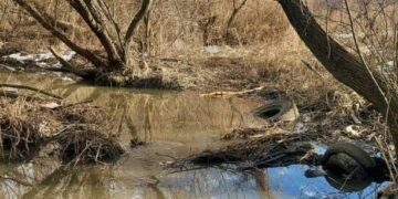Сміттєвий шок у Києві: струмок на Борщагівці перетворили на величезне звалище, – ФОТО