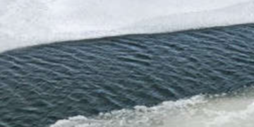 Крики далеко від берега: в Києві дитина і матір плили на уламку крижини, – ВІДЕО