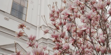 Київ “розквітає” у кадрі: де зробити найгарніші фото цієї весни