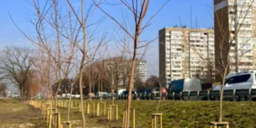 Київ – місто сад: як триває масштабне озеленення, – ФОТО