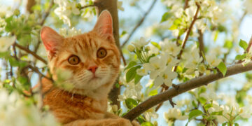 Тепло сменится “минусом”: Диденко назвала точную дату резкого похолодания в Украине