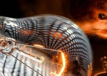 У Києві триває відновлення світла: що зараз у Дніпровському районі