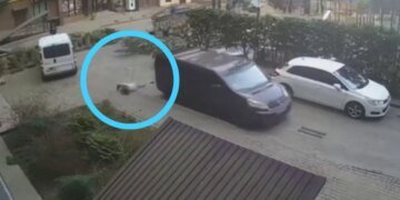 В Луцке беременная женщина упала во время конфликта с сотрудниками ТЦК: её госпитализировали. ВИДЕО