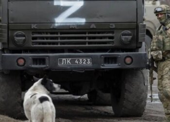 Стагнация неизбежна: российская армия захлебывается количеством потерь, пытаясь успеть до «зеленки»