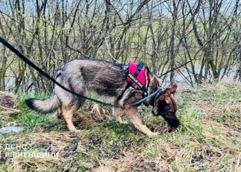 Спасатели продолжают поиски пропавшего 4-летнего мальчика в Ровенской области. ВИДЕО
