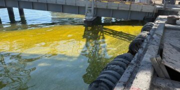 Масштабний розлив олії стався в порту Чорноморська після ворожої атаки – ДЕІ