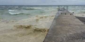 Забруднення Чорного моря олією – еколог пояснив наслідки удару рф по портовій інфраструктурі