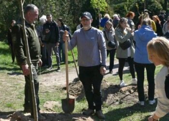 Гай пам’яті у Києві: матері загиблих воїнів висадили особливі дерева