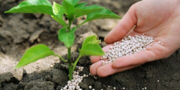 Цепная реакция: как дефицит энергоносителей разрушает мировую индустрию удобрений