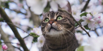 Мокрый снег, штормовой ветер и заморозки: какой погоды ждать украинцам перед Пасхой