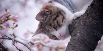 Ветер, заморозки и мокрый снег: синоптик предупредила о резком ухудшении погоды