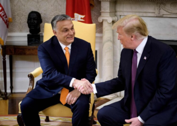 “Трамп – это риск”: европейские союзники США в панике из-за провала Орбана