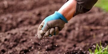 Аграрии рискуют потерять до $5 млрд экспортной выручки из-за подорожания удобрений.