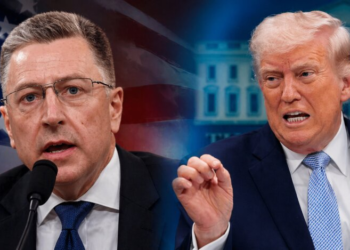 Волкер указал на главную ошибку европейцев в общении с Трампом