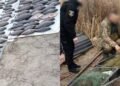 Сітки, човен і сотні рибин: на Київщині викрили браконьєрів із великими збитками