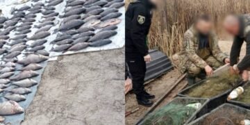 Сітки, човен і сотні рибин: на Київщині викрили браконьєрів із великими збитками