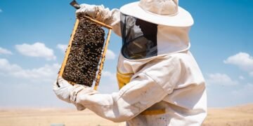 Украинский экспортер меда из-за таможенных барьеров хочет локализовать производство в ЕС.