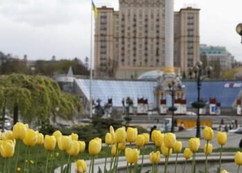 У Києві розквітли перші тюльпани: де шукати найкрасивіші локації, – ФОТО