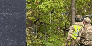 Прихована загроза на дереві: в Києві помітили невідомий об’єкт, – ФОТО