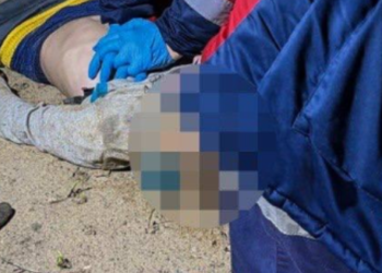 Закопаний труп: на Київщині знайшли мертву дитину, – ФОТО