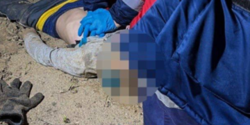 Закопаний труп: на Київщині знайшли мертву дитину, – ФОТО