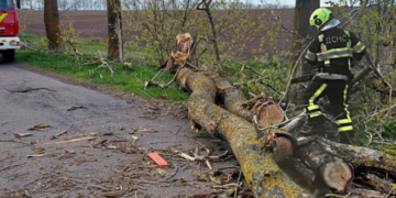 Дороги Київщини перекрито: що сталось, – ФОТО