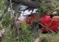 Шквальний вітер у столиці вже нищить авто: перші наслідки негоди в Києві
