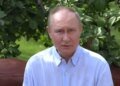 Дедушка в бункере: война обнулила образ мачо внутри страны