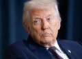 Зеленский и Путин якобы одобрили перемирие по запросу Трампа
