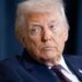 Зеленский и Путин якобы одобрили перемирие по запросу Трампа