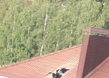 Путинская бомба упала на Белгород и убила россиянина — власти молчат