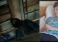 Избили ли ребенка или нет: две версии громкого инцидента с ТЦК в Луцке. ВИДЕО
